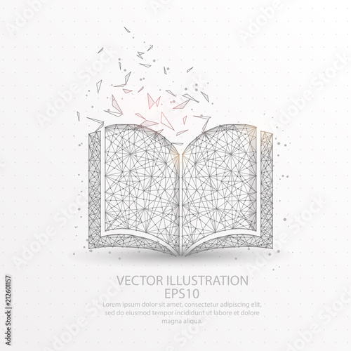 Book low poly wire frame on white background.