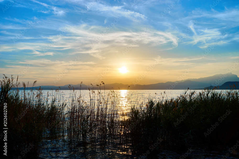 Beautiful sunset at coastline of Lake Garda / Natural reed in the lake / Next to City of Bardolino
