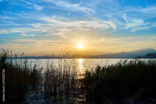 Beautiful sunset at coastline of Lake Garda   Natural reed in the lake   Next to City of Bardolino