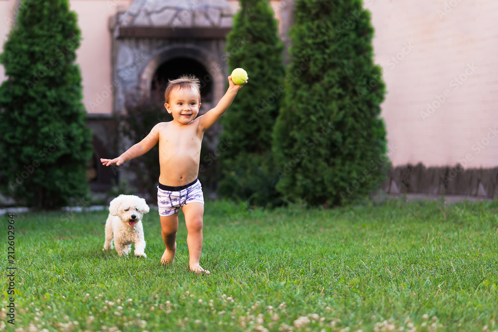 Little boy runs along the grass with his pet dog. A boy with a ball and white poddle on the grass. Children and pet relationship concept. Room for text Little boy runs along the grass with his pet dog. A boy with a ball and white poddle on the grass. Children and pet relationship concept. Room for text