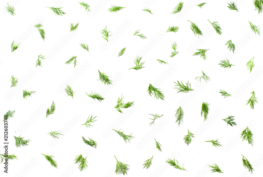 Pattern on a white background with dill. Top view Pattern on a white background with dill. Top view