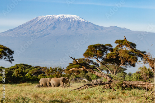 Kilimanjaro © Peter