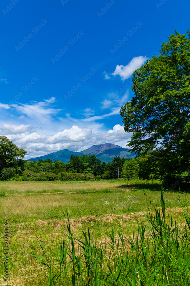 Obraz premium 浅間山を望む