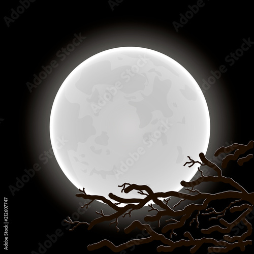 Vector illustration. Full Moon in the dark sky.