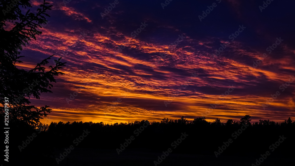 Beautiful, colorful and dramatic sky at sunset. Silhouette of forest. Beautiful, colorful and dramatic sky at sunset. Silhouette of forest.