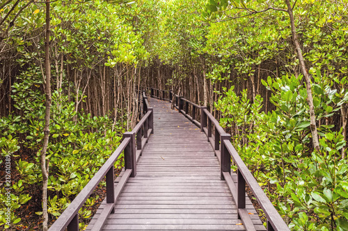 Wooden bridge the forest mangrove at Petchaburi, Thailand © pittawut