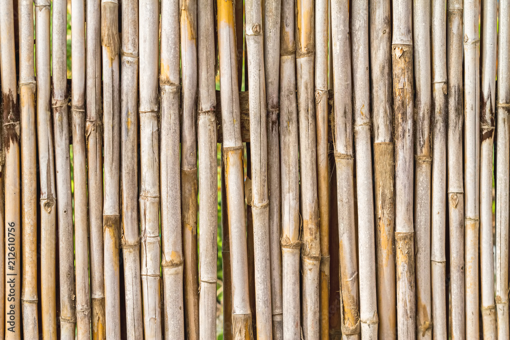 Close up bamboo fence background