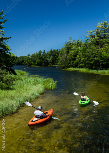 People Kayaking Down a River with Trees 