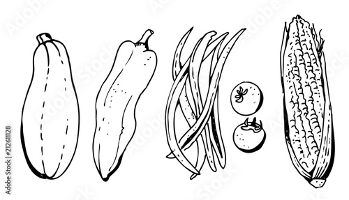 Vegetables set vector illustration, zucchini, pepper, tomato, green beans, sweet corn