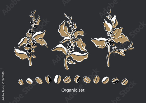 Set of coffee tree. Vector double sketch illustration