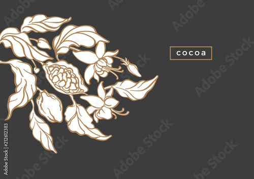 Vector template of cocoa tree, fruit, foliage, bean.