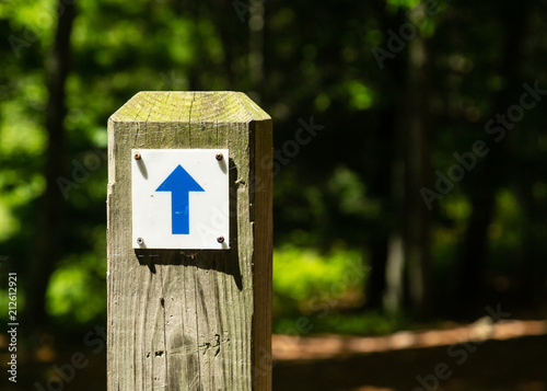 Wood Signpost with Blue Arrow Pointing Straight Ahead