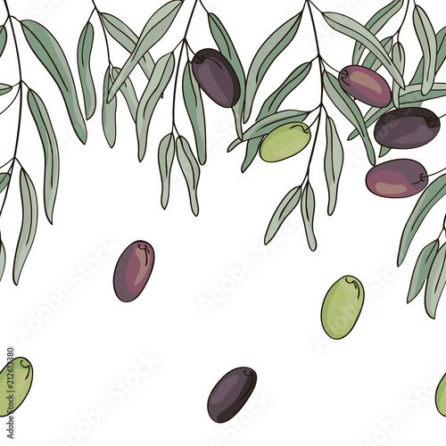 vector contour green color olive plant leaf had drawn elements set seamless pattern