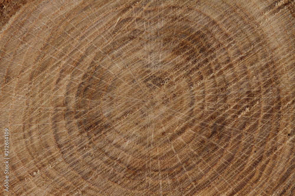 Hintergrund Holz 3 Hintergrund Holz 3