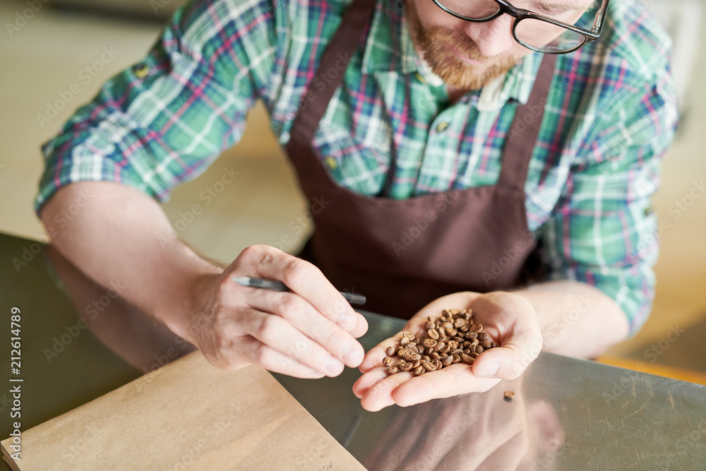 Crop shot portrait of modern barista holding handful of fresh coffee beans and checking quality of roast in artisan roastery, copy space Crop shot portrait of modern barista holding handful of fresh coffee beans and checking quality of roast in artisan roastery, copy space