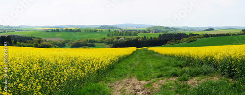 Landschaft in Hunsrück mit Rapsfeldern Panorama im Frühling © beatuerk