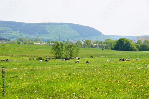 grüne Frühlingslandschaft in der Wittlicher Senke   © beatuerk