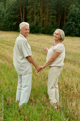 Senior couple resting at summer field