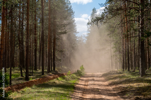 Dusty road through forest