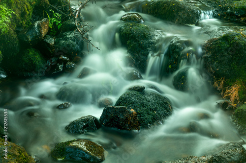 Dartmoor, Devon England photo