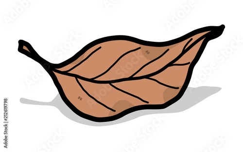dry leaf / cartoon vector and illustration, hand drawn style, isolated on white background.