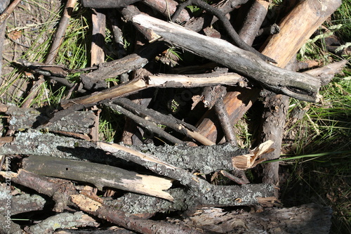 Fototapeta Naklejka Na Ścianę i Meble -  Firewood to maintain the fire