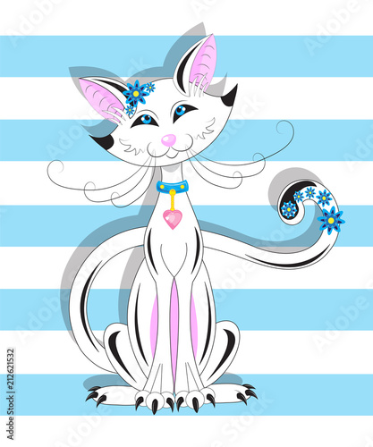 White cat with blue eyes