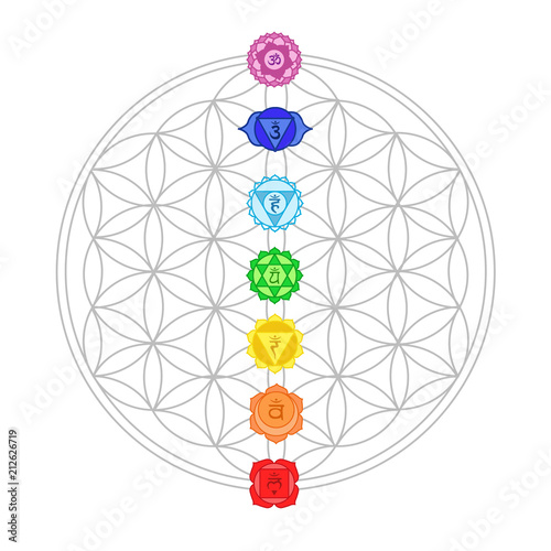 chakra signs with the flower of life - meditation, yoga, esoteric concept photo