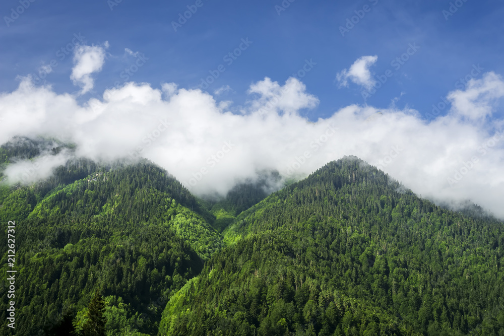 Mountain peaks covered with green forest against the blue summer sky with white clouds. Landscape of georgian nature