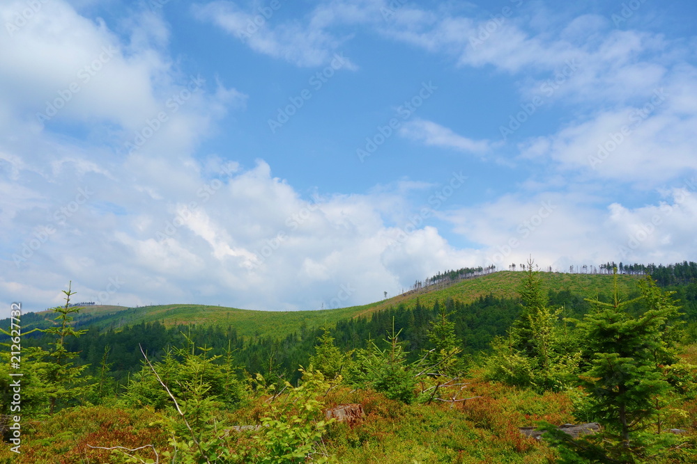 Panorama of a Beskydy mountains range in Malinowska Skala, Szczyrk, Silesian Beskid, Poland