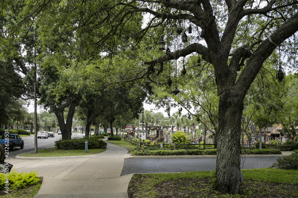 Orlando, trees, Florida, USA