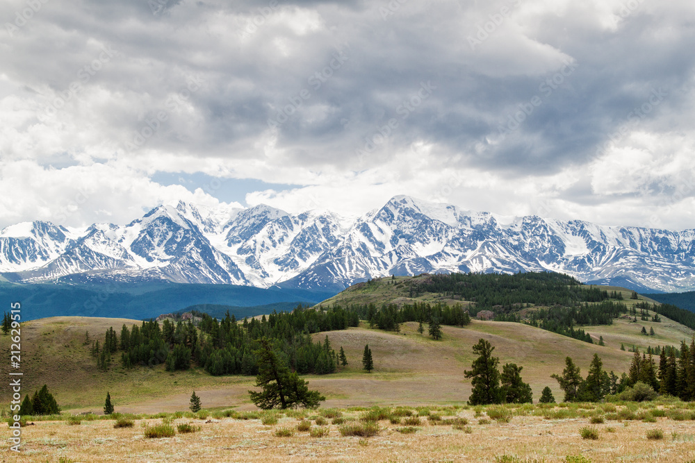 Snowy mountains with green trees and shrubs