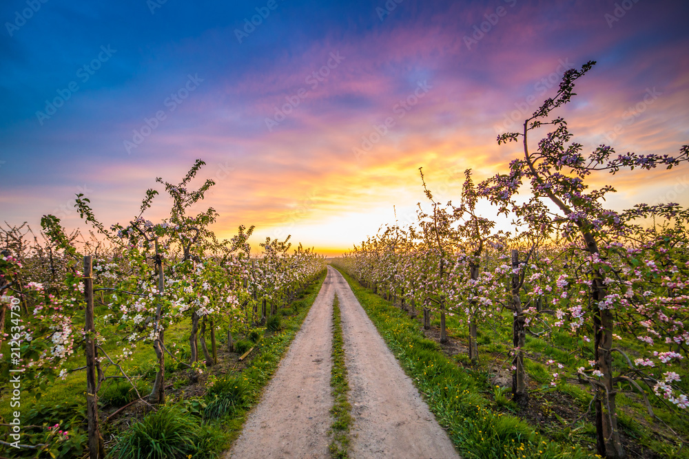 Naklejka premium Altes Land