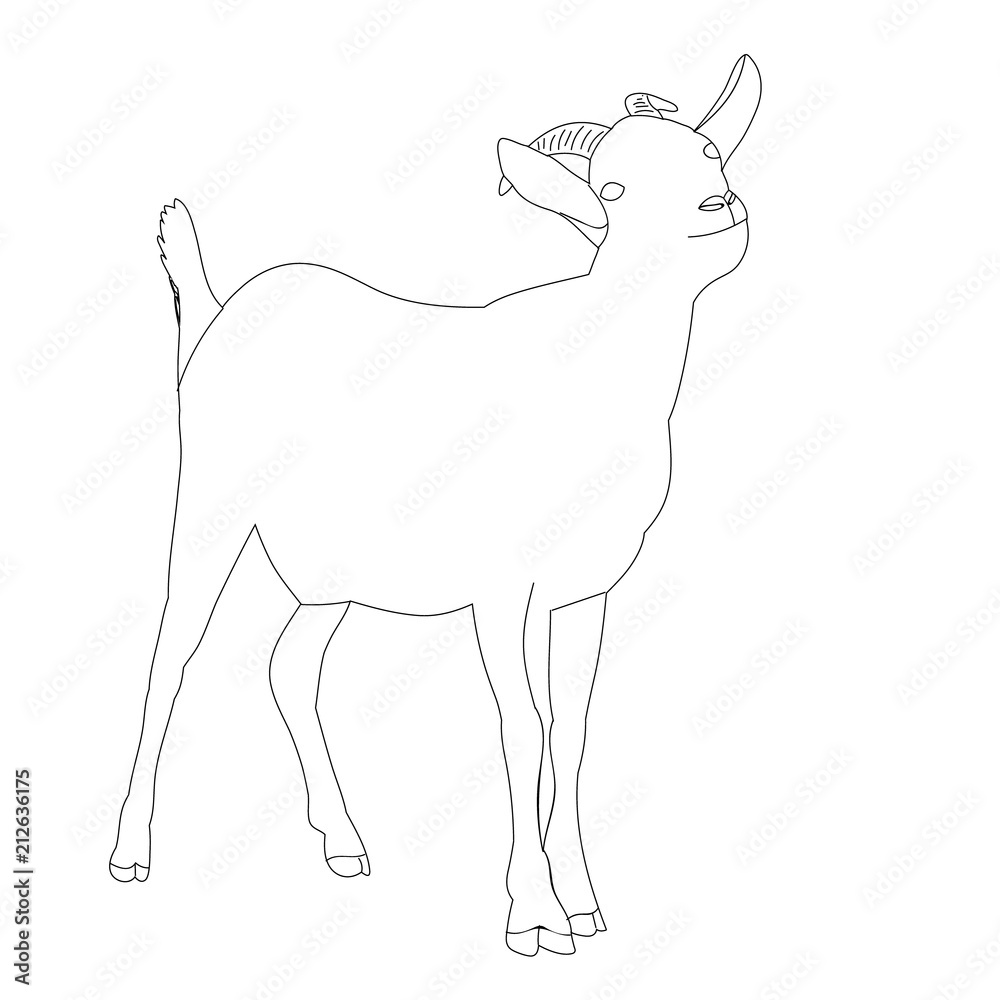 vector, isolated sketch of a goat is standing, on a white background