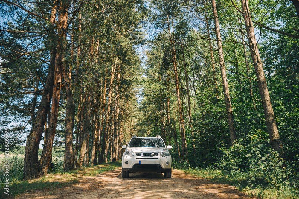 white suv in forest. car travel concept. lifestyle white suv in forest. car travel concept. lifestyle