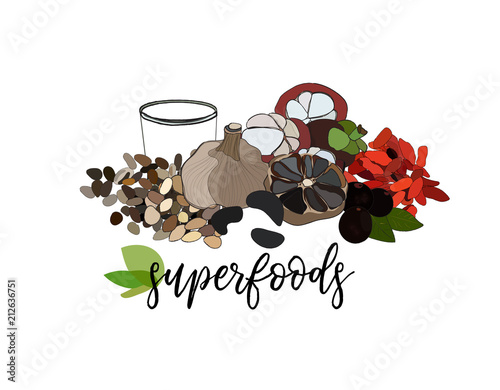 vector super food illustration. healthy diet. organic berries kefir black gaarlic. logo label sign. 