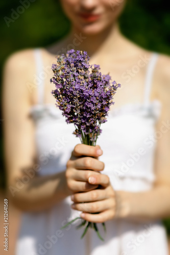 Bouquet of lavender in the hands of a girl, close-up