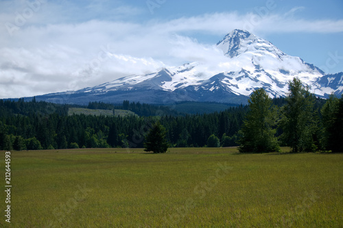 View of Mt. Hood from across a field.