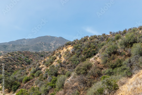 Heat from summer sun dries a Southern California forest hiking area with room for text in sky