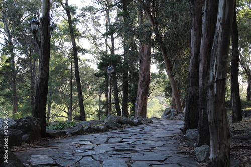 sendero cristo