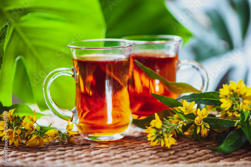 Herbal tea made from st. john's wort, organic tea with herbal Hypericum extracts