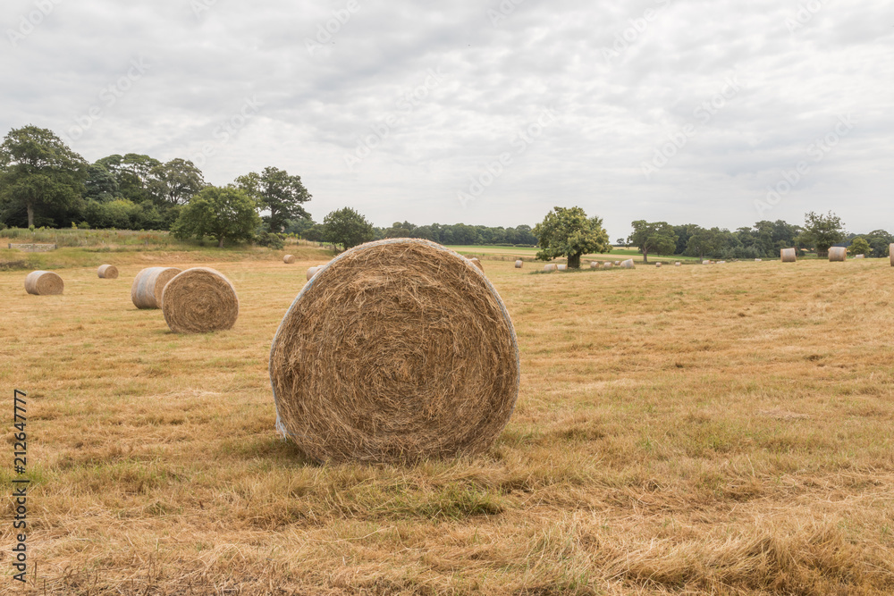 Giant hay bales in the English countryside Giant hay bales in the English countryside