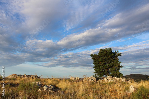 cerro