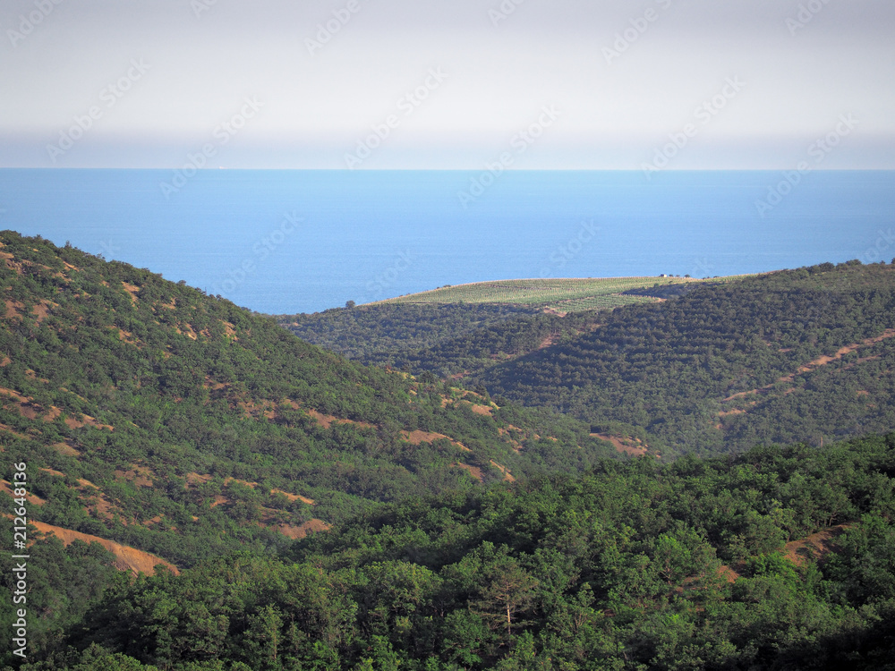 Mountains of crimea and the green forest