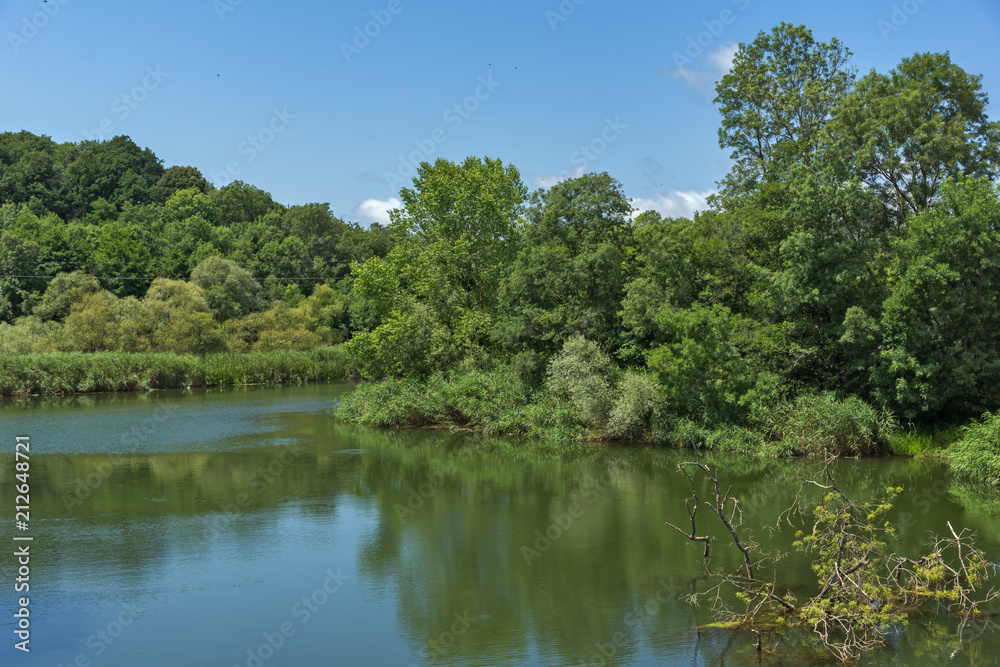 Landscape with green forest around Veleka Rvier, Burgas Region, Bulgaria