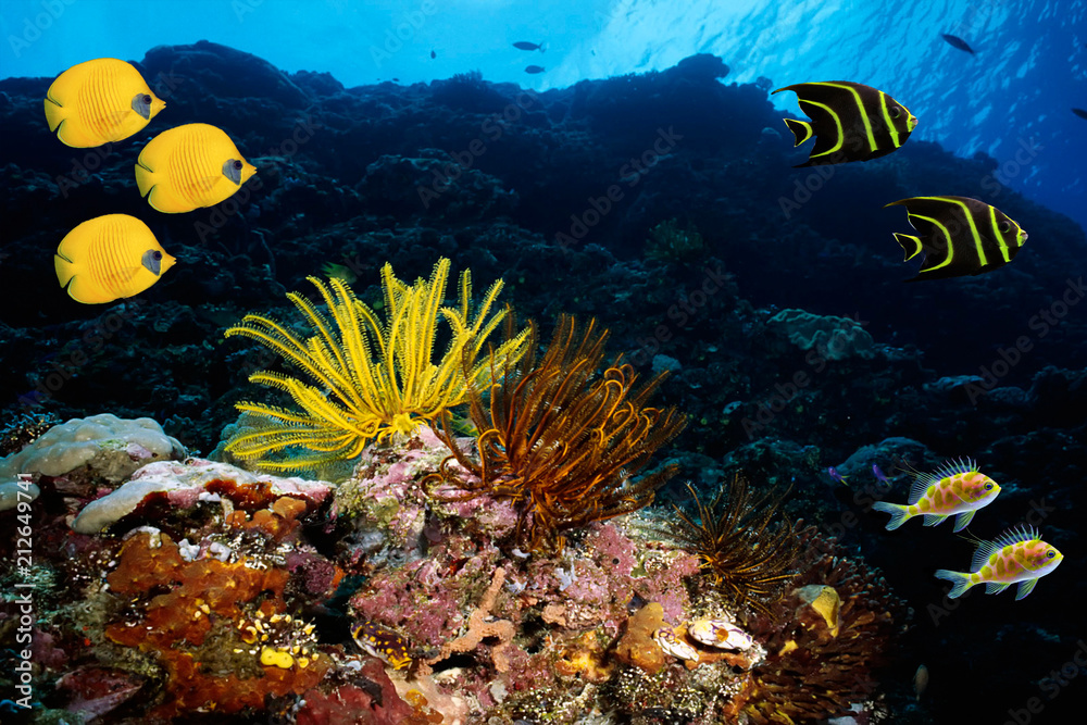 Fototapeta premium Underwater scenic moment with salwater reef fishes
