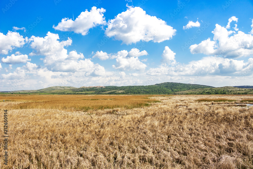 Picturesque view to Dragoman natural karst Wetland in Sofia Province, Bulgaria - the biggest Bulgarian natural karst wetland with covered with clouds beautiful sky