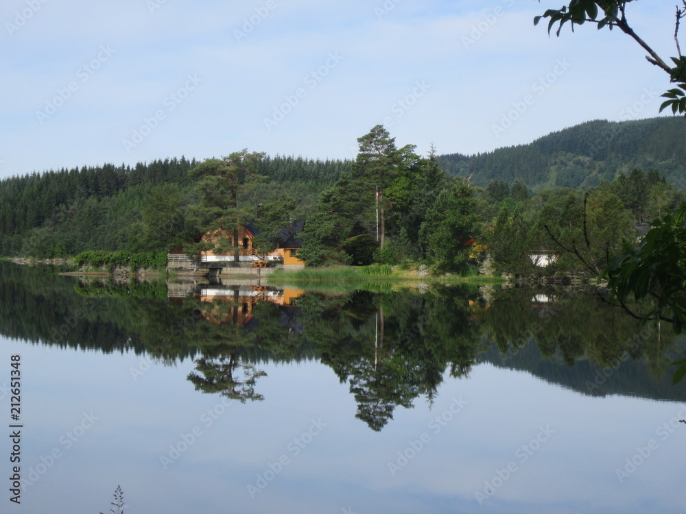 Fototapeta premium Reflection