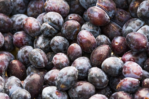 plum fruit isolated