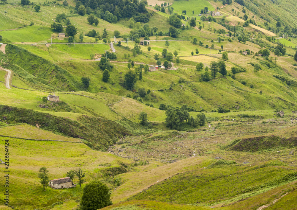Contraste de verdes en las laderas de los Valles Pasiegos en Cantabria.